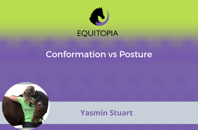 Webinar 20: Conformation vs Posture