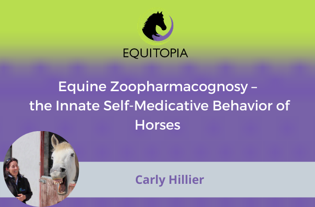 Webinar 21: Equine Zoopharmacognosy