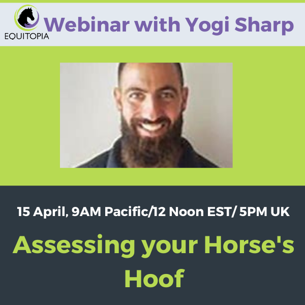 webinar: assessing your horse's hoof