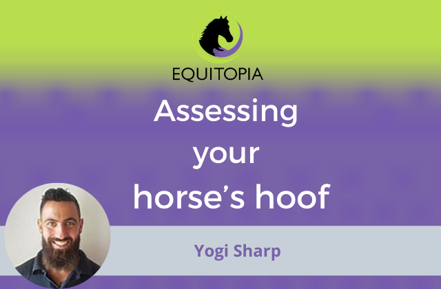 Recording of Yogi Sharp webinar - assessing your horse's hoof