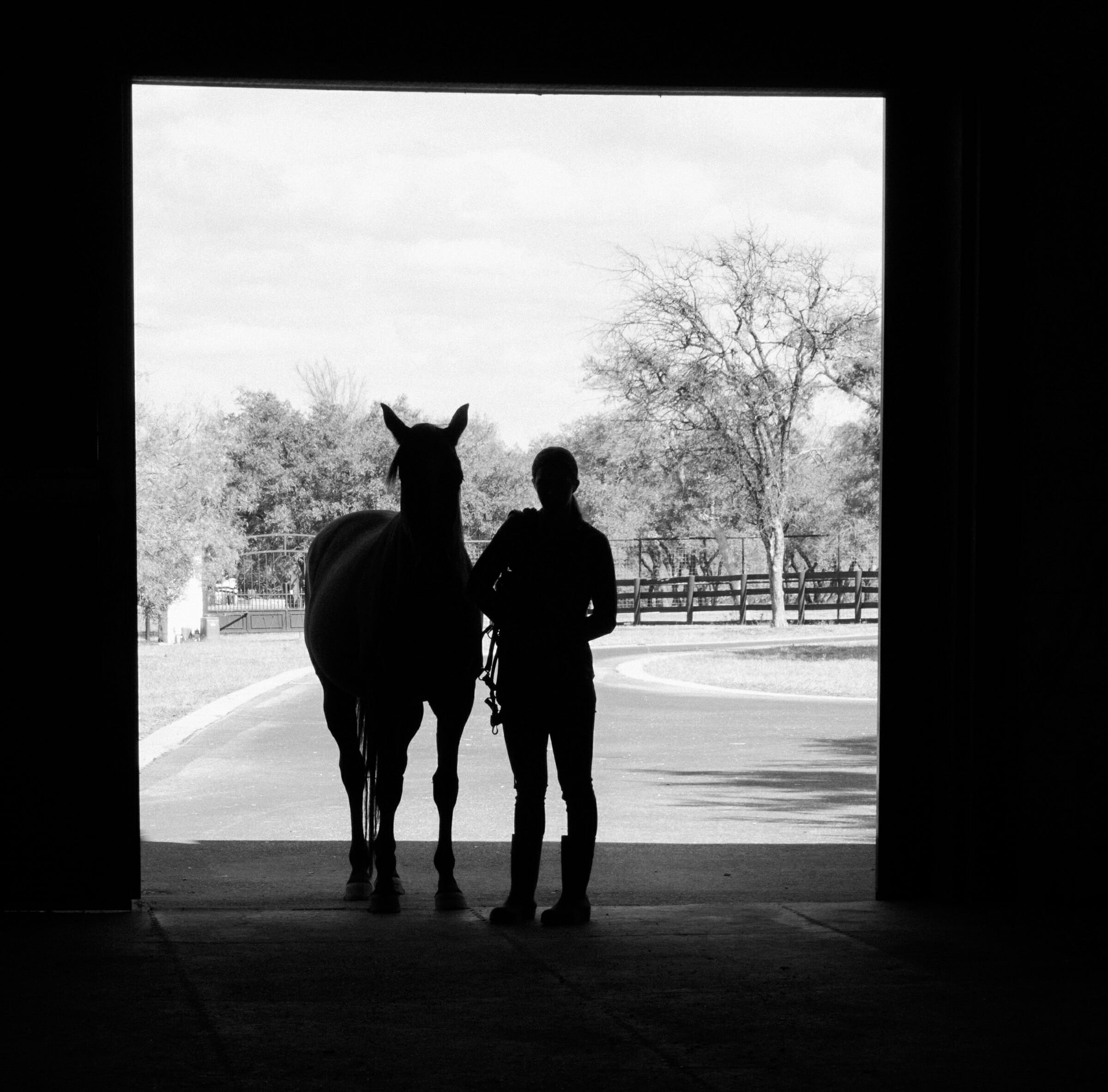 Equitopia blog post A Proactive and Positive Approach To Caring For Horses