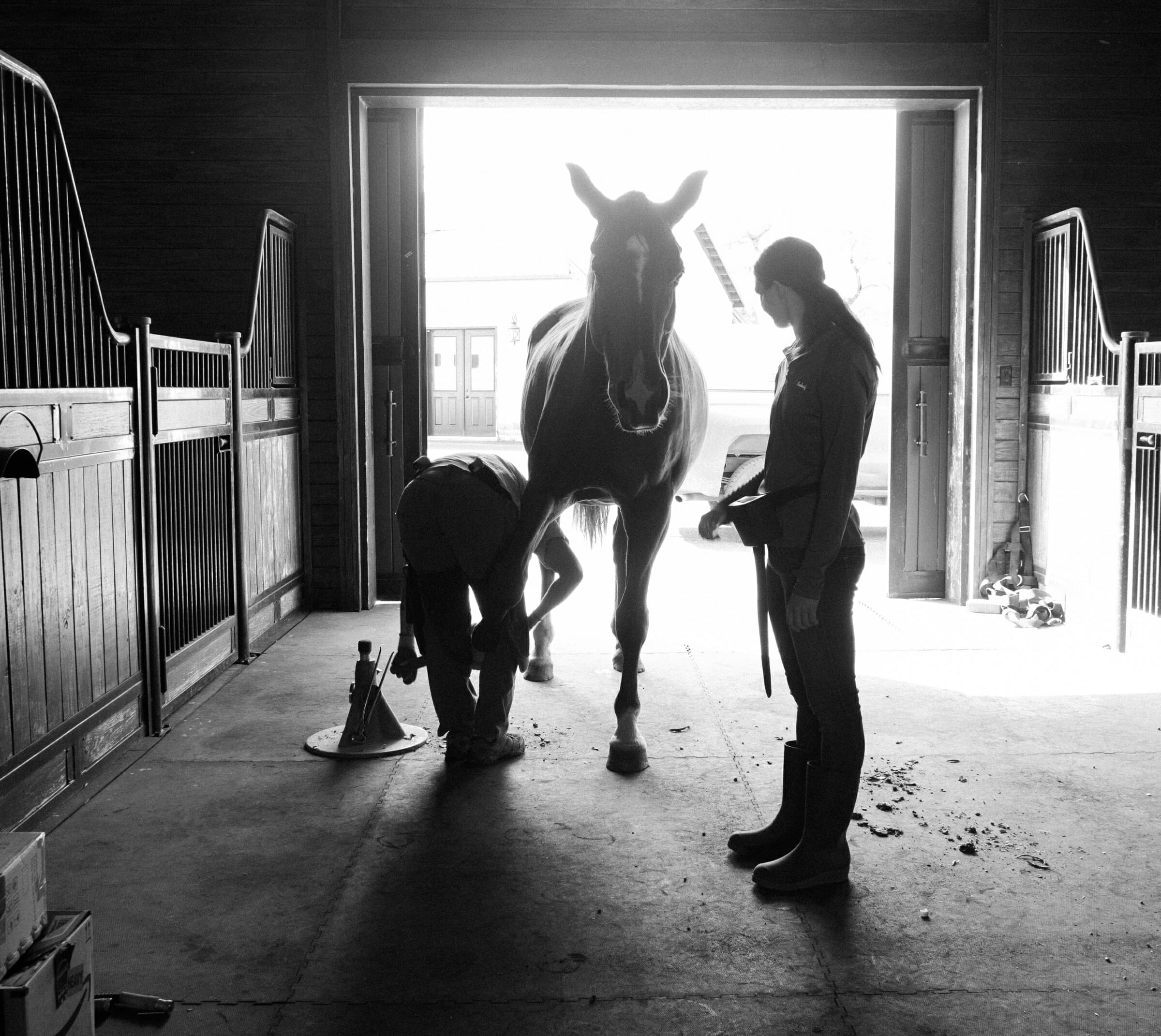 Choosing like minded professionals for your equine team