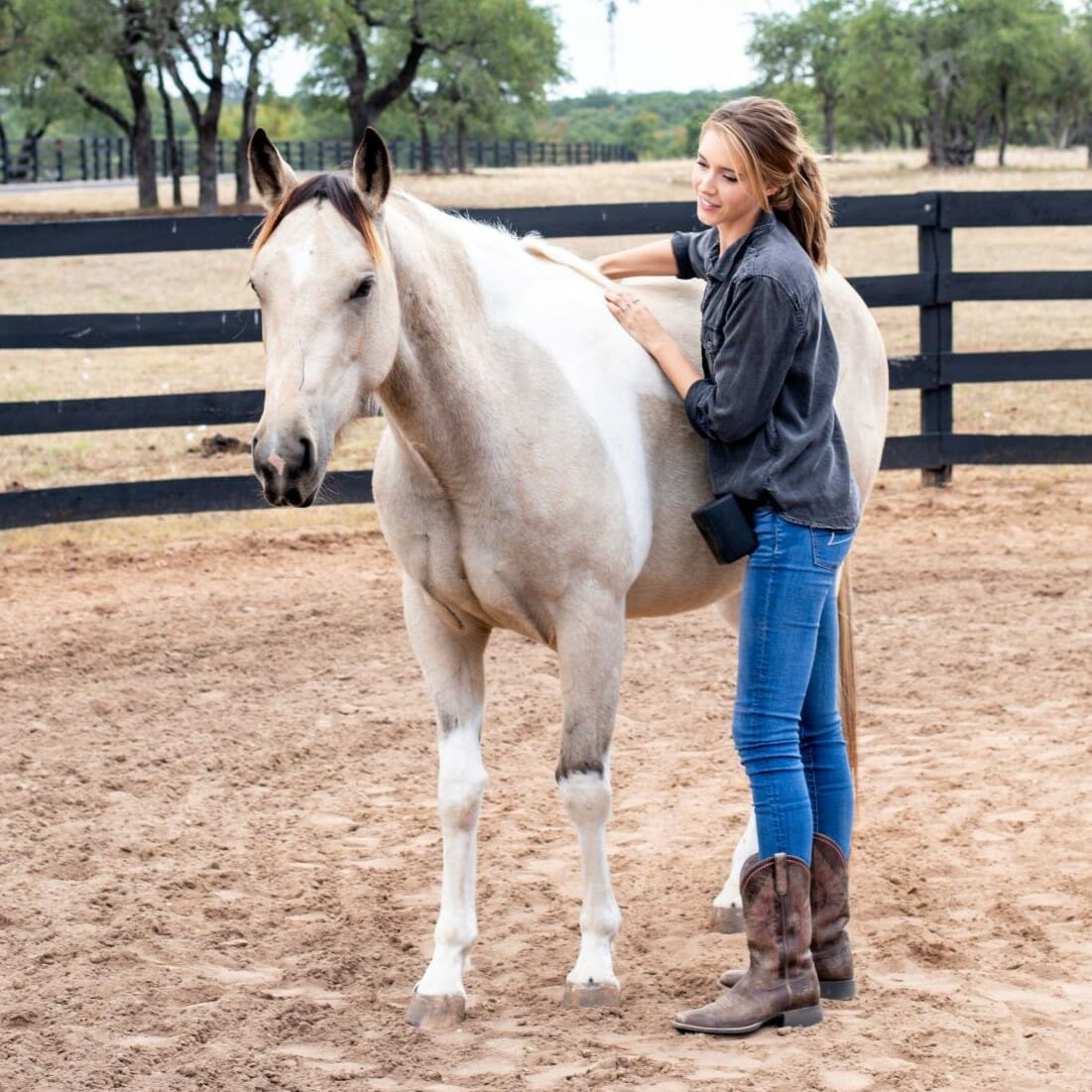 Equitopia blog post: A Proactive and Positive Approach To Caring For Horses