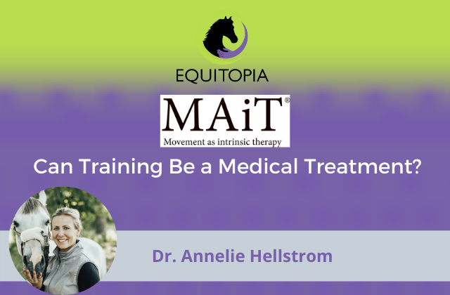 Webinar 28: Can Training Be a Medical Treatment?