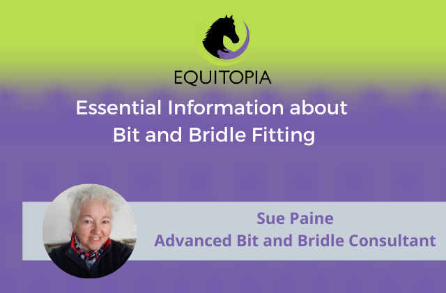 Webinar 31: Essential Information about Bit and Bridle Fitting