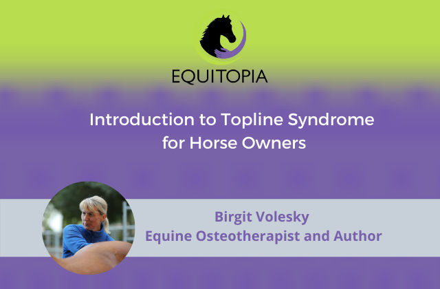 Webinar 33: Introduction to Topline Syndrome for Horse Owners