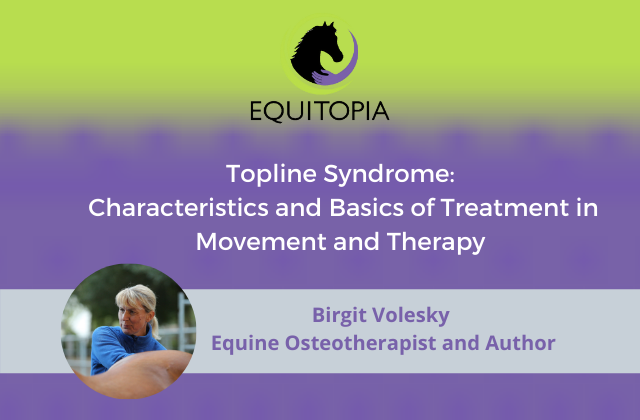Webinar 34: Topline Syndrome – Characteristics and Basics of Treatment in Movement and Therapy