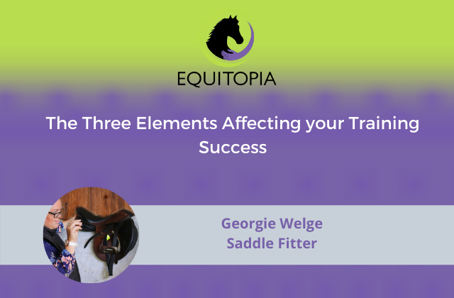 Webinar 35:  The Three Elements Affecting your Training Success