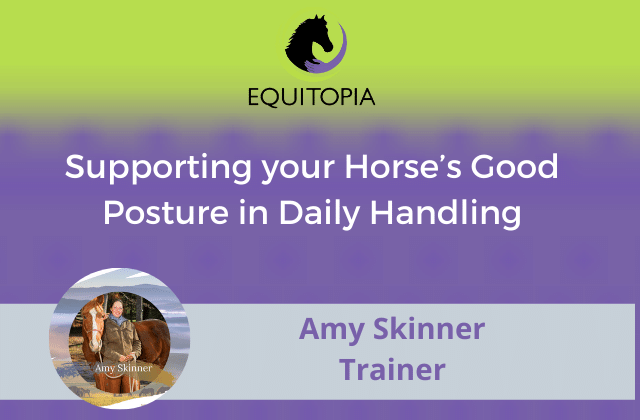 Webinar 36: Supporting your Horse’s Good Posture in Daily Handling