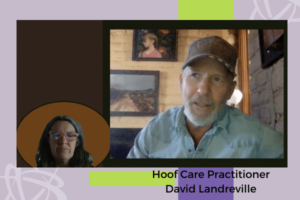 Horse People: Meet David Landreville