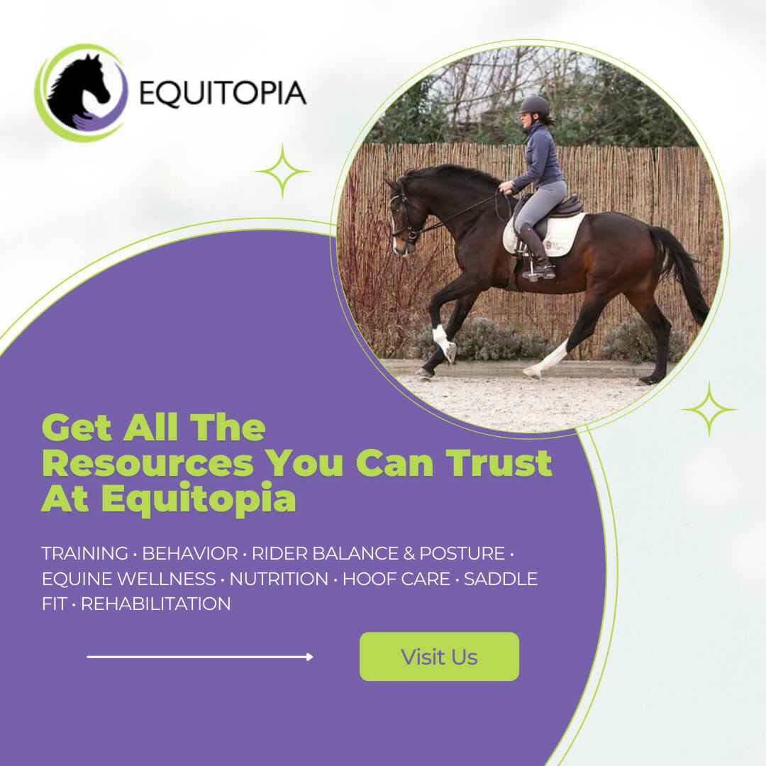Essential information every horse owner needs - all in one place.
