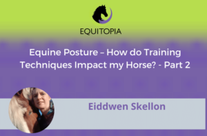 Webinar 41: Equine Posture – How do Training Techniques Impact my Horse? - Part 2