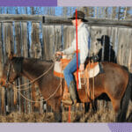 western saddle fit webinar