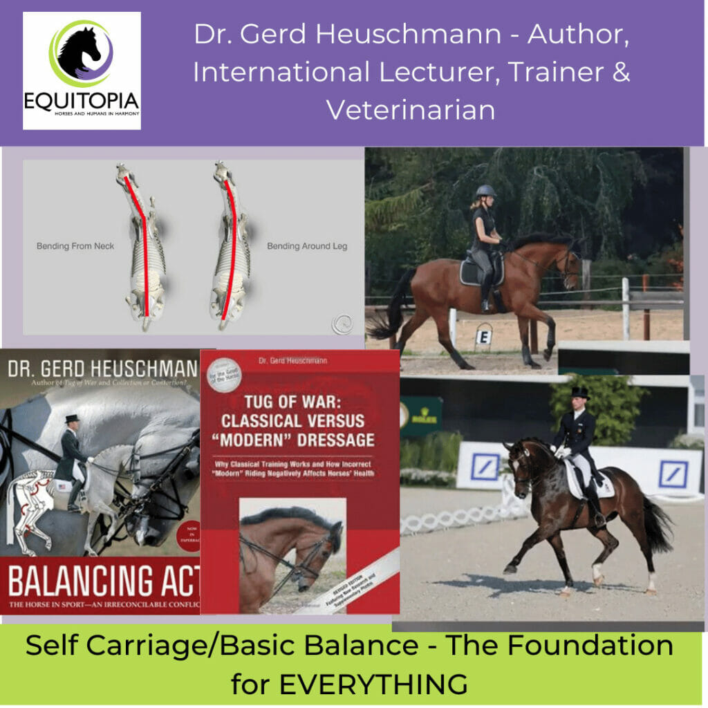 Gear Guide, Equestrian product reviews and releases