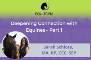 Webinar 45: Deepening Connection with Equines – Part 1