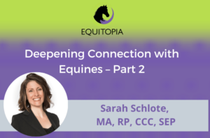 Webinar 47: Deepening Connection with Equines – Part 2