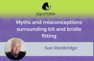 Webinar 48: Myths and misconceptions surrounding bit and bridle fitting