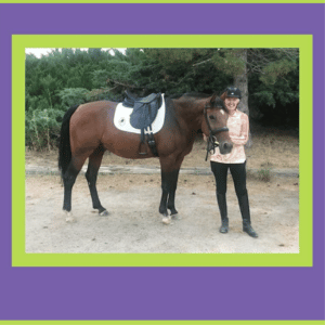 Before You Buy A Horse - Important Considerations - Part One