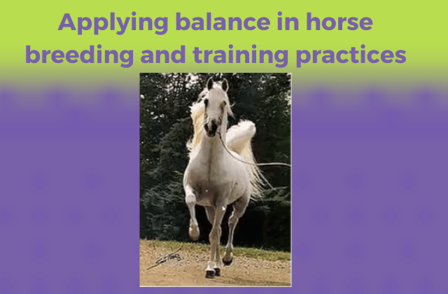 equine rehabilitation courses online